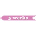 cwJOY-Baby1stYear-Girl-Tag-3wk
