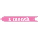 cwJOY-Baby1stYear-Girl-Tag-1mo
