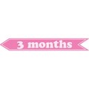cwJOY-Baby1stYear-Girl-Tag-3mo