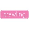 cwJOY-Baby1stYear-Girl-wordbits-crawling
