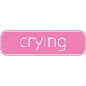 cwJOY-Baby1stYear-Girl-wordbits-crying