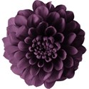 aw_loverocks_dahlia purple