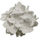 aw_loverocks_hydrangea gray