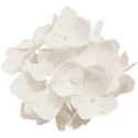 aw_loverocks_hydrangea white