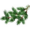 chey0kota_ChristJoy_ele (45)