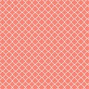 jennyL_coral_navy_paper2