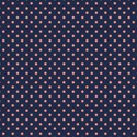 jennyL_coral_navy_paper9