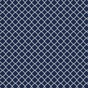 jennyL_coral_navy_paper11