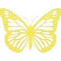 cwJOY-Baby1stYear-Girl-butterfly
