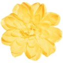 cwJOY-Baby1stYear-Girl-flower6