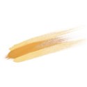paintedlines