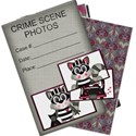 aw_bandit_crime scene photos blank