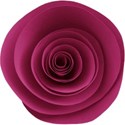 aw_bandit_rolled flower magenta