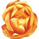 cwJOY-VintageLove-flower4