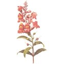 cwJOY-VintageLove-flower14