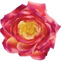 cwJOY-VintageLove-flower15