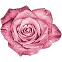 cwJOY-VintageLove-flower16