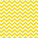 DkYellow_white