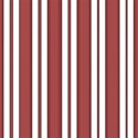 bg3