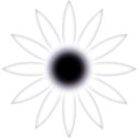 daisy02