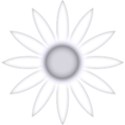 daisy03
