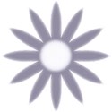 daisy04