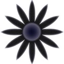 daisy06
