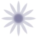daisy09