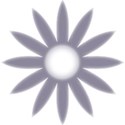 daisy13