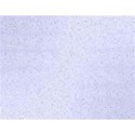 bg21