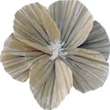 Paper Flower 02