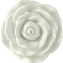 Rose Brad