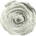 Paper Flower 03