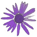 Skinny_Flower_Purple