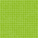 BG_Daisies_Green02