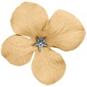 flower5