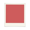 SCD_WM_frame1
