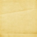 PDW_SCD_Bibliophile_paper4