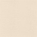 PDW_SCD_Bibliophile_paper8