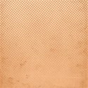 PDW_SCD_Bibliophile_paper17