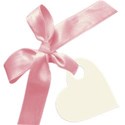 pdw_chey0kota_whw_ele (4)