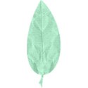 Leaf 01