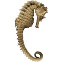 cwJOY-BytheSea-seahorse2