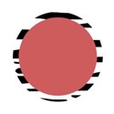 zebra circle frame