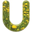 cwJOY_IntheGarden_lc_u