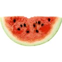 pdw_DDD_chey0kota_FarmStand_ele (5)