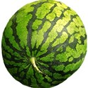 pdw_DDD_chey0kota_FarmStand_ele (8)