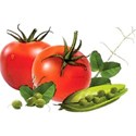 pdw_DDD_chey0kota_FarmStand_ele (12)
