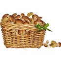 pdw_DDD_chey0kota_FarmStand_ele (14)