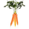 pdw_DDD_chey0kota_FarmStand_ele (28)
